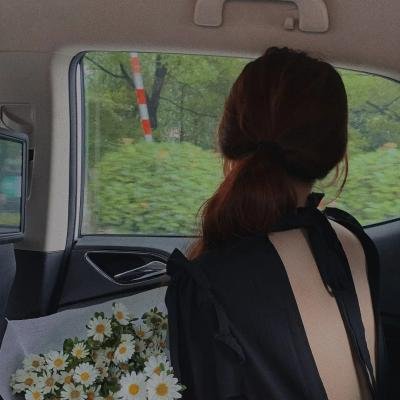 小鼠和大象的创意